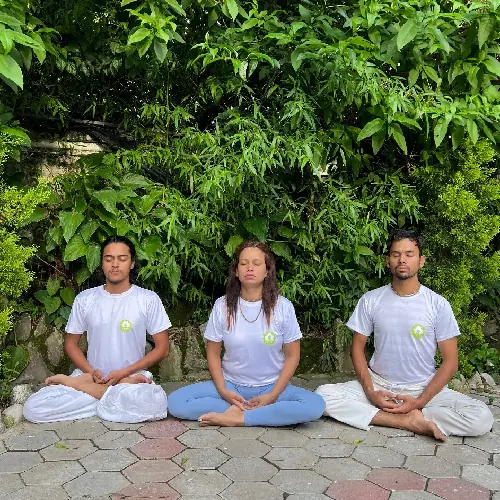 Morning meditation in the garden